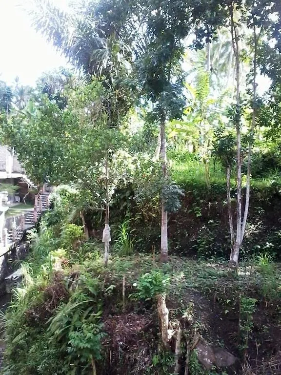 Griya Petapan Lejlighed Ubud