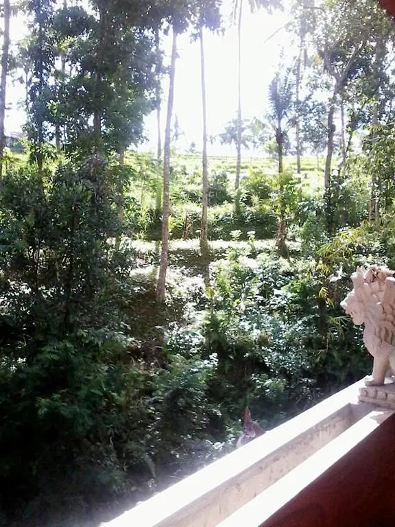 Griya Petapan Apartment Ubud  0*, Ubud (Bali) Indonesia
